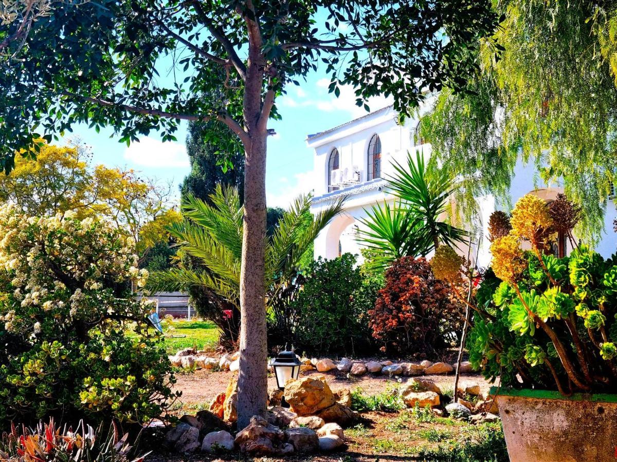 Chalet Alicante Sol Y Luz San Vicente Raspeig Exteriör bild
