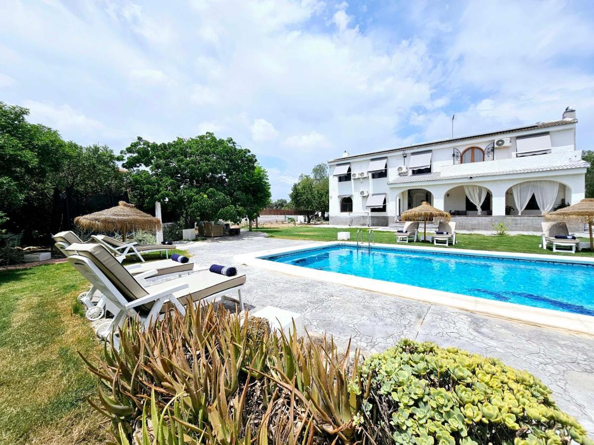 Chalet Alicante Sol Y Luz San Vicente Raspeig Exteriör bild